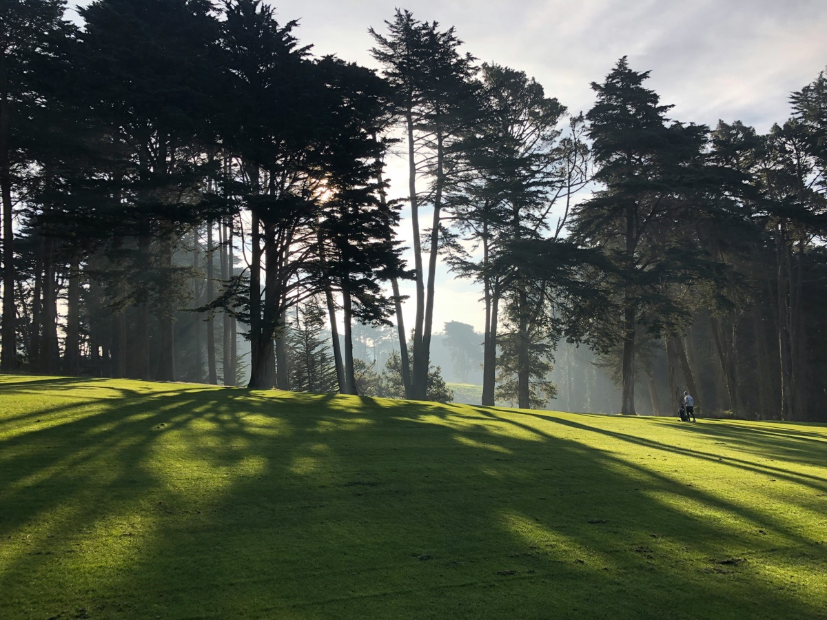 Morning sun breaking through cypress trees onto a striped fairway